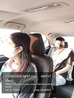 หมาเที่ยวรายวัน